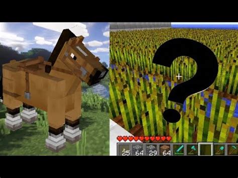 que cosa comen los caballos en minecraft